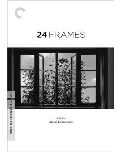 24 Frames (DVD)