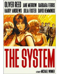 System, The (DVD)