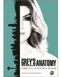 Grey's Anatomy: Season 13 (DVD)