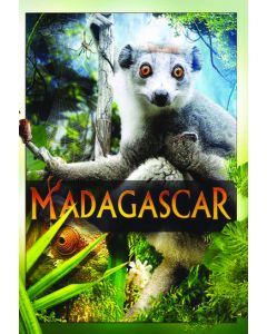MADAGASCAR (DVD)