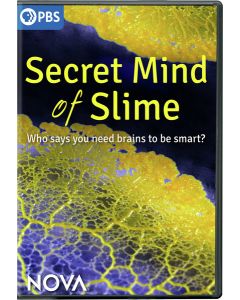NOVA: Secret Mind of Slime (DVD)