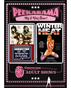 Abduction of an American Playgirl + Winter Heat (DVD)
