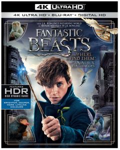 Fantastic Beasts and Where to Find Them (4K)