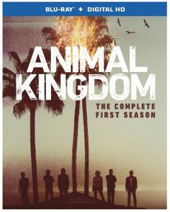 Animal Kingdom: Season 1 (DVD)
