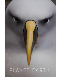 Planet Earth Collection, The (Blu-ray)