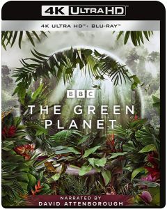 Green Planet (4K)