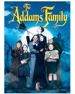 Addams Family, The (DVD)