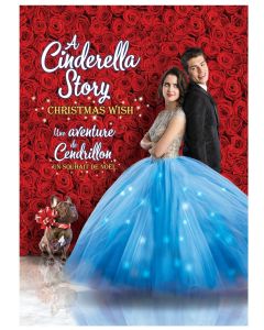 Cinderella Story, A: Christmas Wish (DVD)