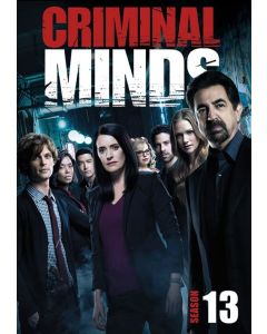 Criminal Minds: Season 13 (DVD)