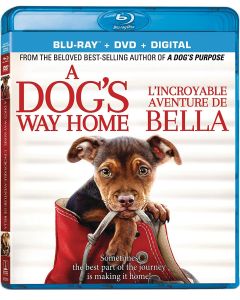 Dog'S Way Home, A (Blu-ray)