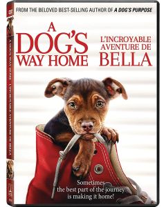 Dog'S Way Home, A (DVD)
