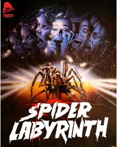 Spider Labyrinth (4K)
